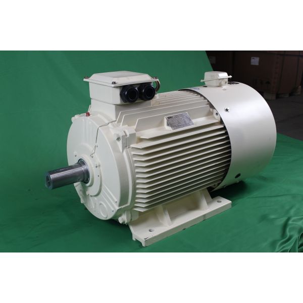 YVFE3 280S-2 75kW IP55 380 Volt Variable Frequency Motor 2980RPM