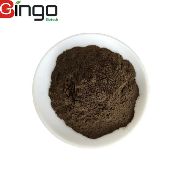 Quality Free Sample High quality 0.30% Hypericum Perforatum Extract Powder Hypericins for sale