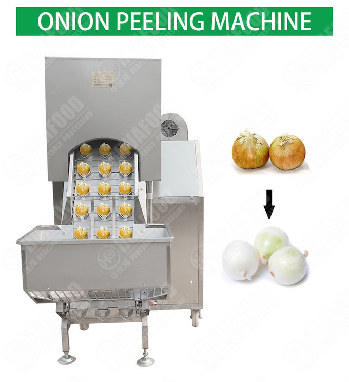 1.0MPa Washing Peeling Onion Processing Equipment