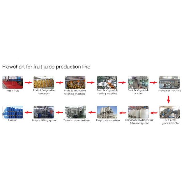 CE Certificated Mango Juice Sterilizing Machine / Plate / Equipment