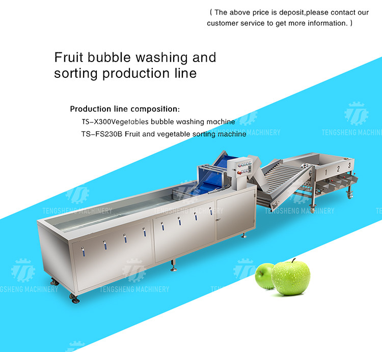 Multifunction Fruit And Vegetable Processing Line Automatic Washing And Sorting Machine