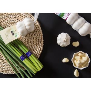 Buy cheap Edible Garlic Sprouting Green Safe To Eat product