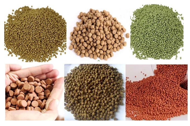 Automatic Fish Feed Processing Machinery With SGS Certification