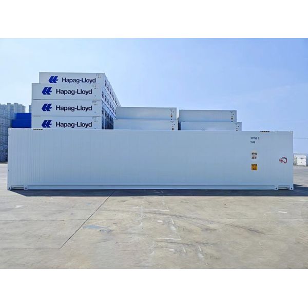 13114 x 2274 x 2554 mm Internal Dimensions 45ft High Cube Thermo King Refrigerator Freezer Cold Room with BV Certificate