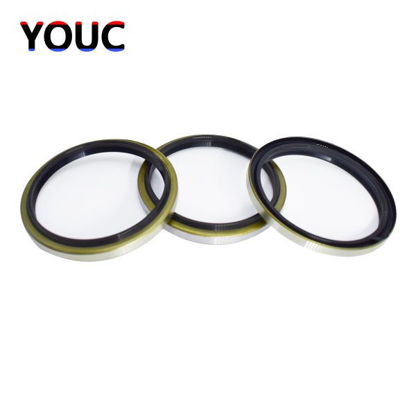 High Temperature Dkb Dust Seal NBR Metal Outer Iron 30 X 42 X 6mm Durable Dust Oil Seal