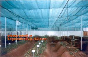 Buy cheap agriculture anti insect net on roll insect proof mesh for greenhouse,Greenhouse Anti Insect Netting /Agriculture Netting product