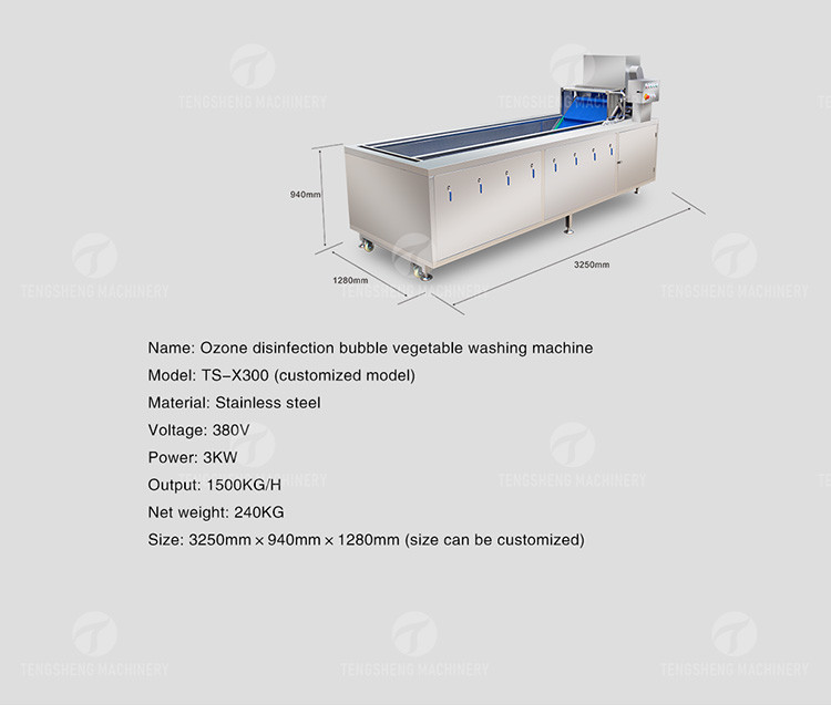 Multifunction Fruit And Vegetable Processing Line Parallel Brush Machine