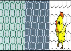 Rust Resistant BWG16 100m Hexagonal Wire Netting
