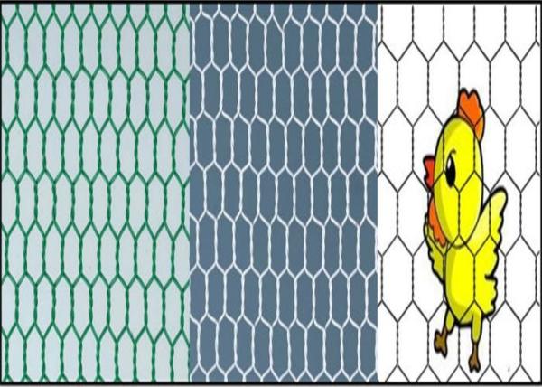 Quality Rust Resistant BWG16 100m Hexagonal Wire Netting for sale