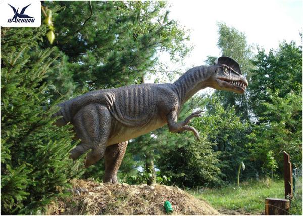 Quality Forest Decoration Handmade Dinosaur Garden Ornaments / Life Size Real Dinosaur Models for sale