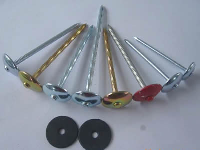 Galvanized Roofing nails