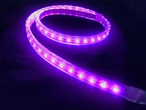 Buy cheap 50m Outdoor RGB IP67 PVC 120V 220V Flexible LED Strip Light product