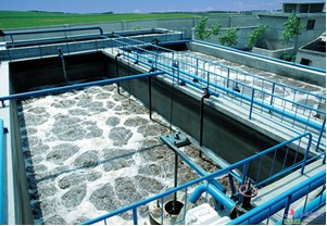 China cheapest MBBR bio media for biological filtration / fish pond