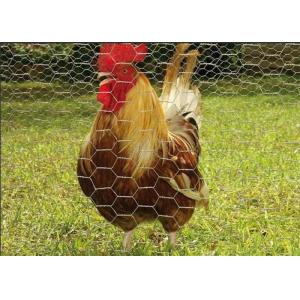 3/4 Inch Chicken Coop Hexagonal Wire Mesh Galvanized Roll