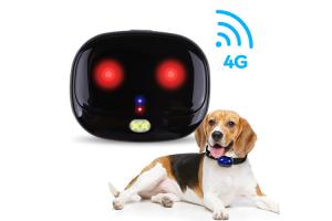 China Mini IP67 Positioning Pet GPS Tracker With 500mA Battery Capacity on sale