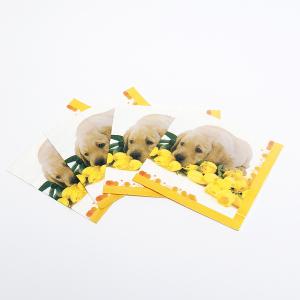 China Printed Personalised Paper Napkins Cocktail Dinner Serviettes 1/4 1/8 N on sale