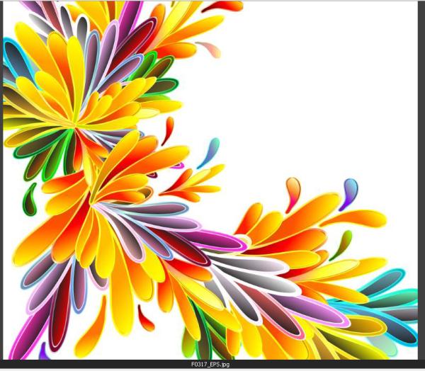 Quality Print Roller Blinds Shades Window Blinds roller blind with printing Min. Order: 200 Meters for sale