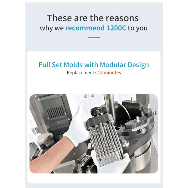 NJP-1200C Automatic Capsule Filling Machine for Powder Granule and Pellet Filling