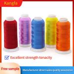 4000y 120D/2 108D/2 100% Polyester Embroidery Thread for Machine in and Dyed