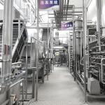 50T/H Jujube Hawthorn Processing Line Food Application