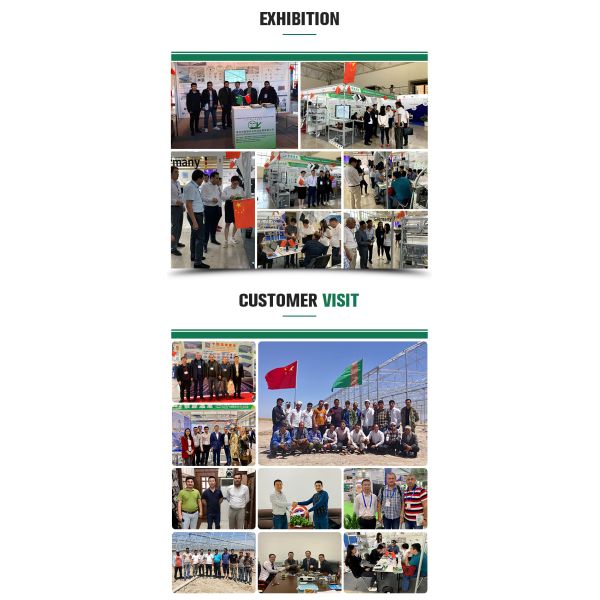 Upgrade Your Agriculture Irrigation System with Black PE Pipe and Core Components Pump