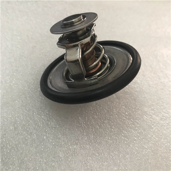 Cummins 6D107 Engine Thermostat