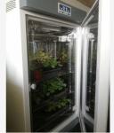 Liyi Plant Growth Chamber Artificial Climate Seed Germination Machine Plant
