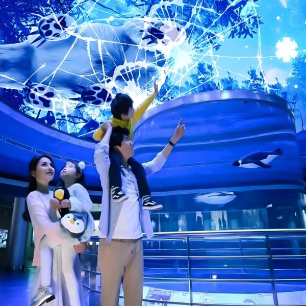 Quality Customizable Magic Sky Screen Hologram Canopy Projection Interactive Projector for sale
