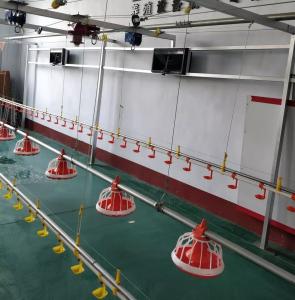 China Diameter 45mm Poultry Feeding Machine Environmental Control System on sale