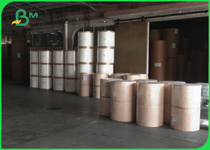 PE coated cup paper