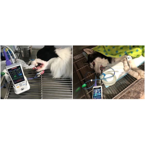 CE ISO SPO2 EtCO2 PR Veterinary Medical Equipment Handheld Vital Signs Monitor