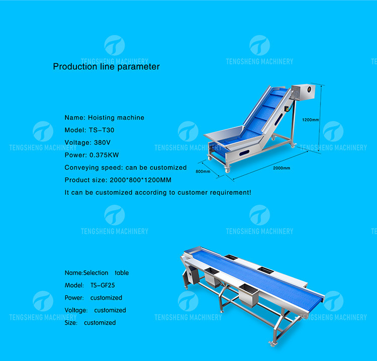 Multifunctional Fruit Sorting Machine Vegetable Washing Drying Production Line