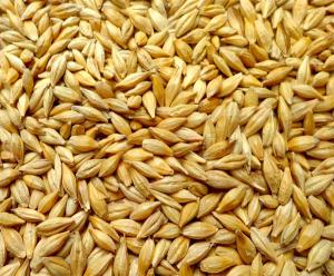 Buy cheap Barley shelling machine / Barley sheller /Barley huller product