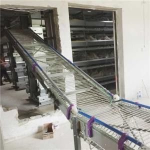 China High Resistance Automatic Egg Collection System Modern Control Labor Saving on sale