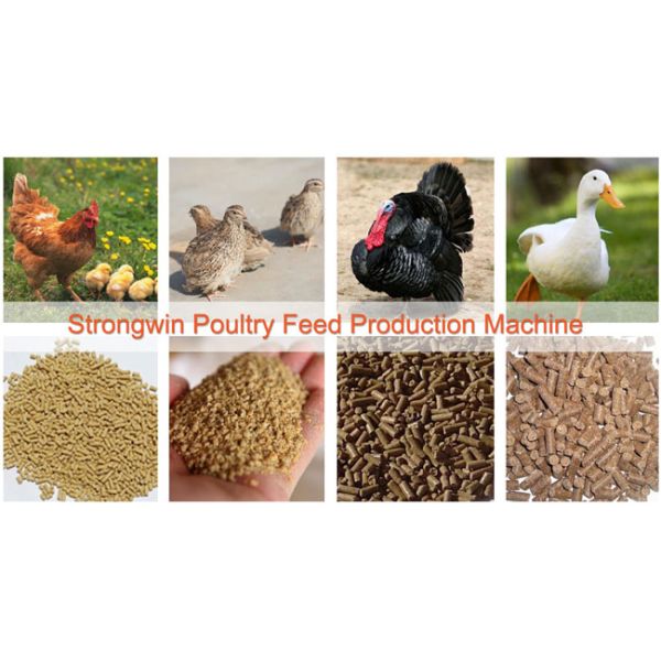 animal feed production line