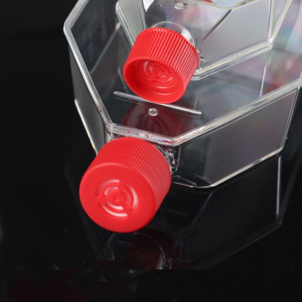 CE And ISO Certification Laboratory Plastic Cell Tissue Culture Flask