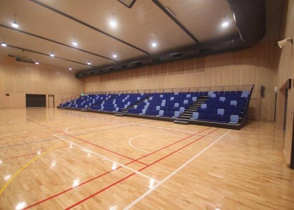 Quality Comfortable Retractable Raked Seating Solution Combining Manual / Power Operation for sale