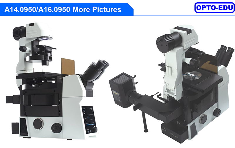 Opto Edu A14.0950 Research Level Inverted Biological Microscope Mortorized Condenser