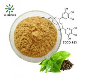 China Solvent Extraction 100% Food Additives Green Tea Extract Powder on sale