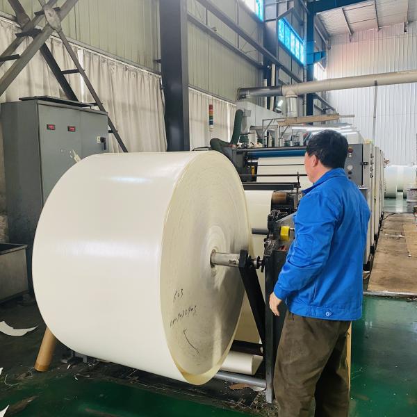 Quality Bio Paper Cup Raw Material 185gsm 190gsm PE Paper Roll for sale