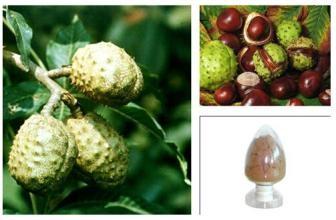 Quality Horse Chestnut P.E., Aescin 20% ,CAS NO.: 6805-41-0, 100% natural anti-inflammatory and antioxidant , reishi mushroom for sale