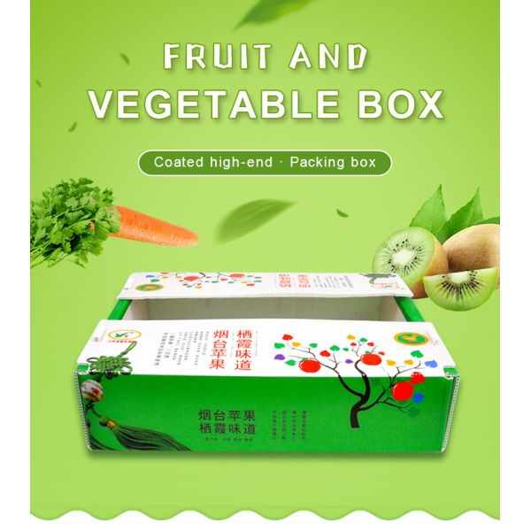 Corruone Waterproof Folding Polypropylene Corrugated Plastic Fruits Vegetables Asparagus/Ginger/Taro/Okra Packing box