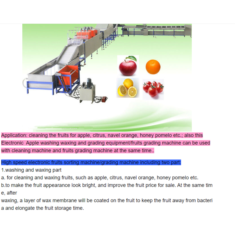 Automatic Fruit Washing Waxing And Sorting Machine