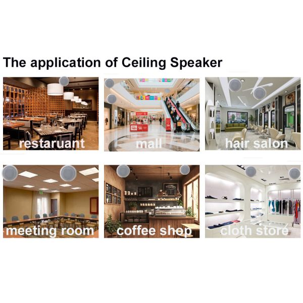 30W 5-inch Coaxial Speaker 15V/2A ABS Ceiling Active Speaker Bluetooth USB Good Sound OEM ODM